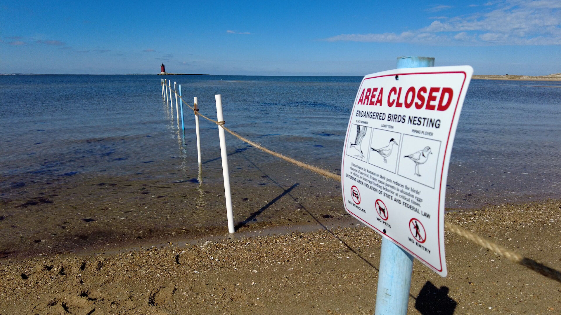 The Point At Cape Henlopen State Park Closes For The Season